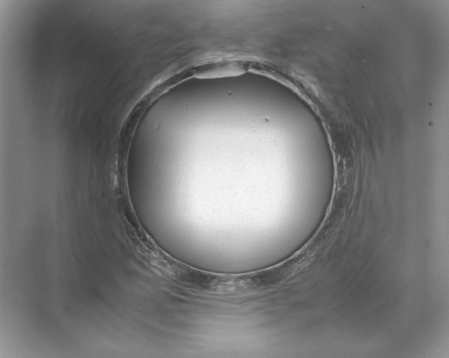 X0000074331165200609230045