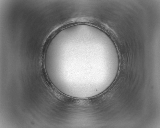 X0000074331166200609230045