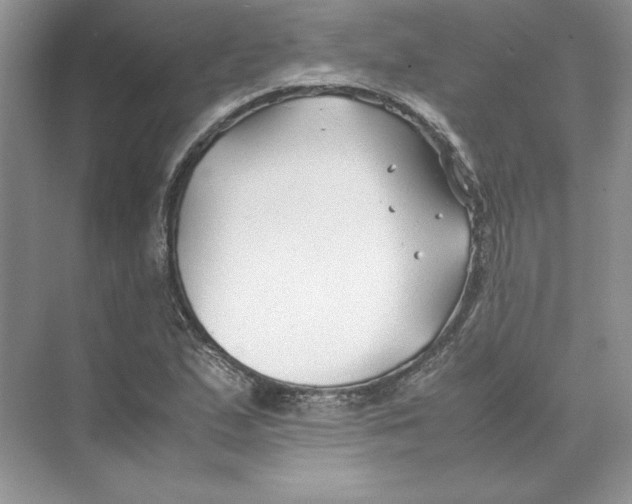 X0000074331167200609230045