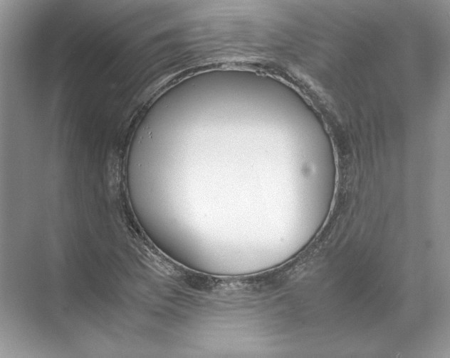 X0000074331169200609230045