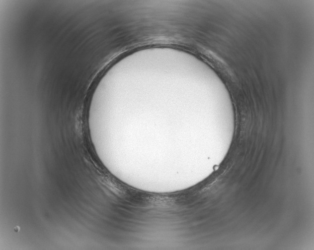 X0000074331170200609230045