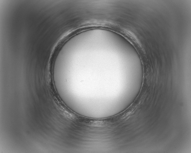 X0000074331172200609230045