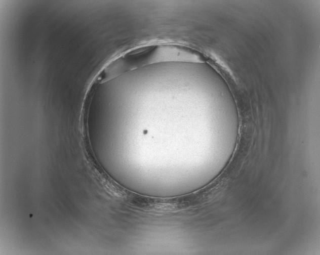 X0000074331173200609230045