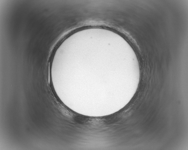 X0000074331175200609230044