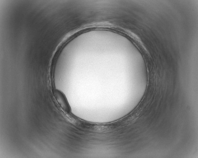 X0000074331176200609230044