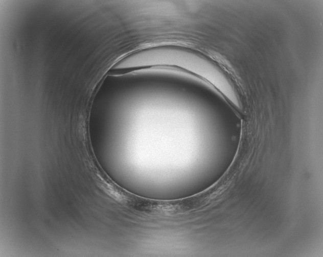 X0000074331177200609230044