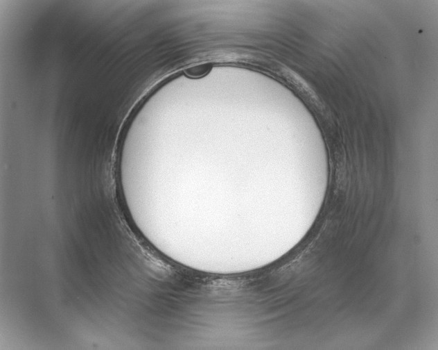 X0000074331178200609230044