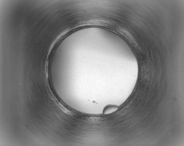 X0000074331180200609230044