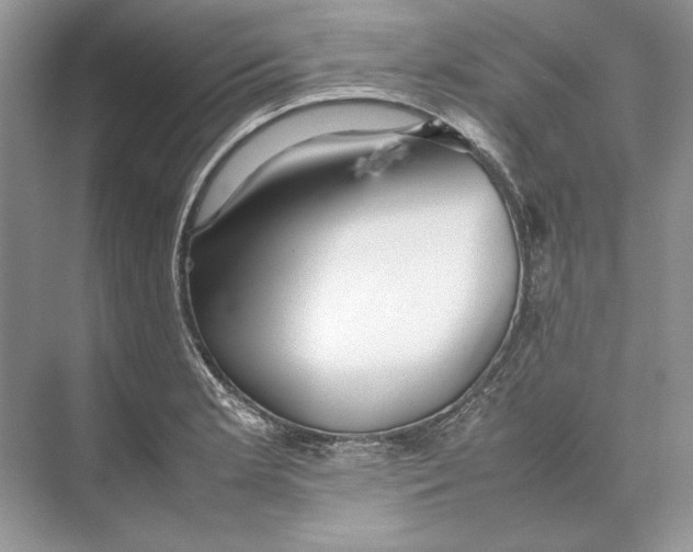 X0000074331181200609230044