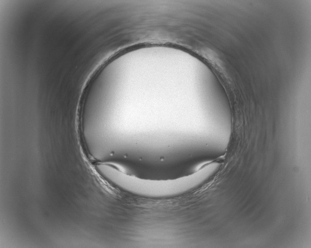 X0000074331183200609230044