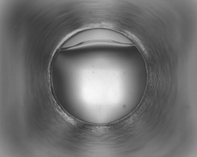 X0000074331184200609230044