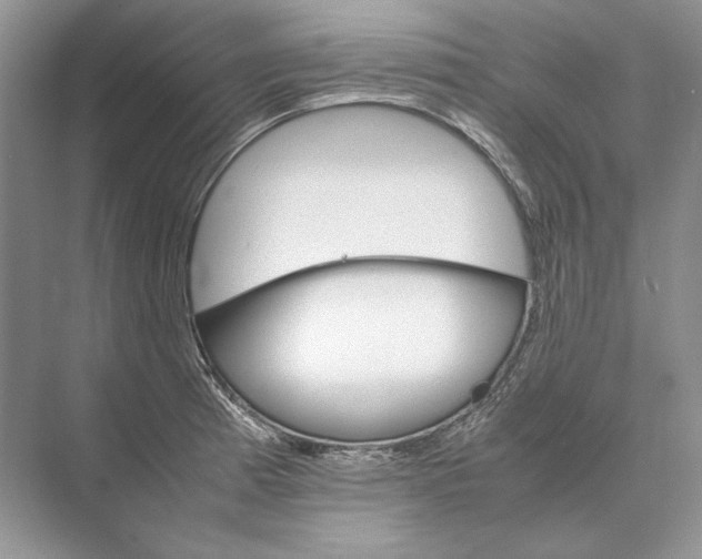 X0000074331185200609230044