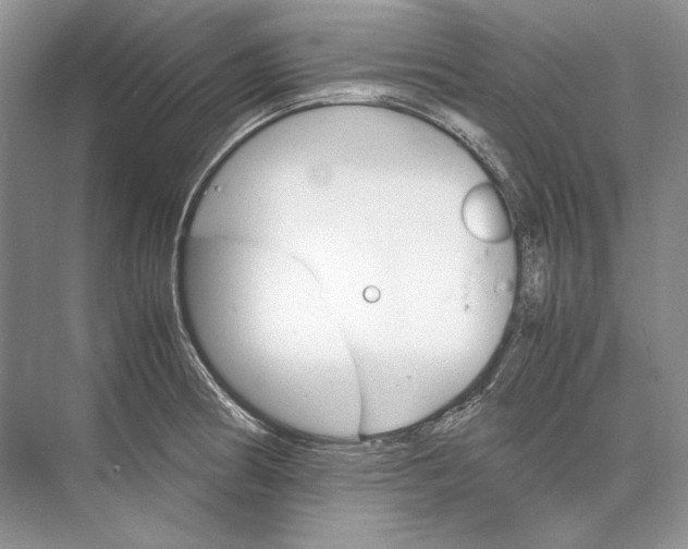 X0000074331186200609230044