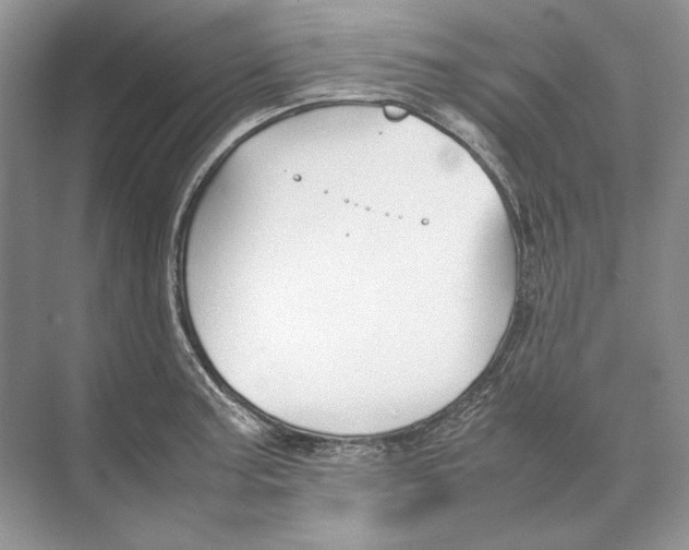 X0000074331187200609230044