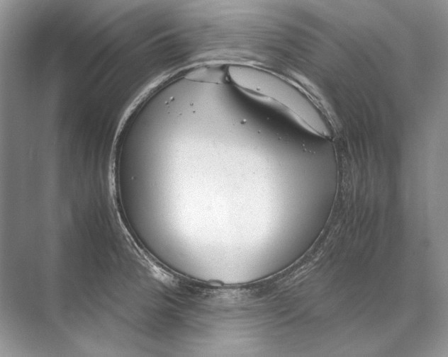 X0000074331188200609230044