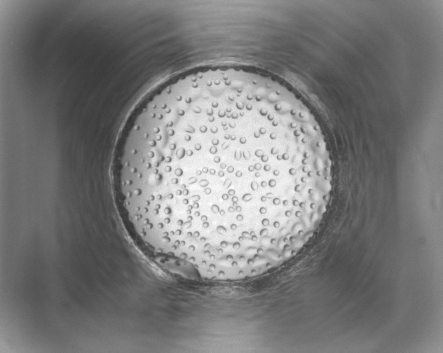 X0000074331189200609230044