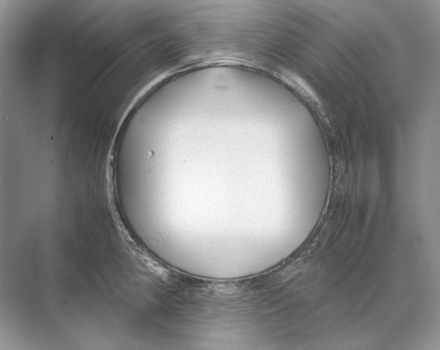 X0000074331190200609230044