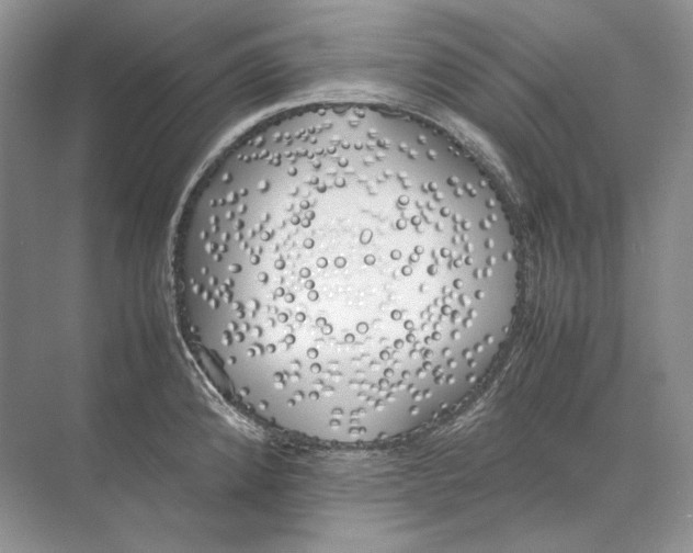 X0000074331192200609230044