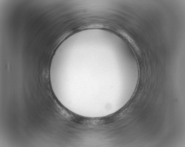 X0000074331193200609230044