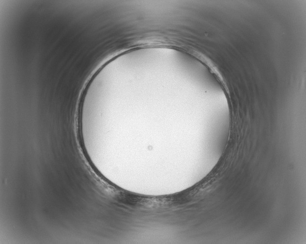 X0000074331195200609230044