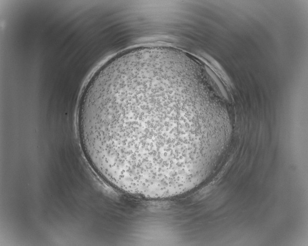 X0000074331196200609230044