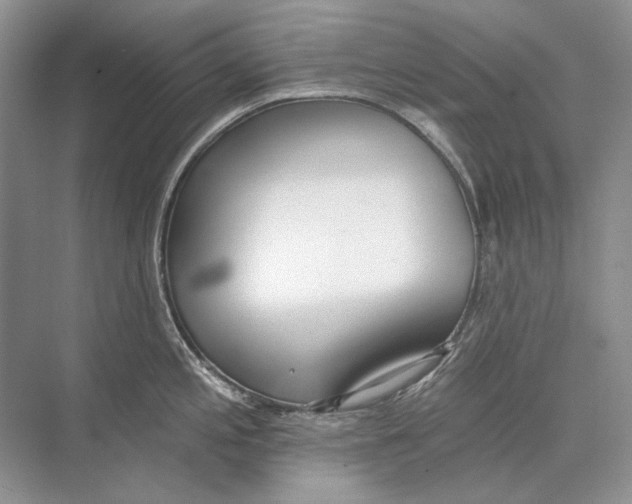 X0000074331197200609230044