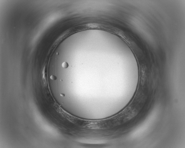 X0000074331198200609230044