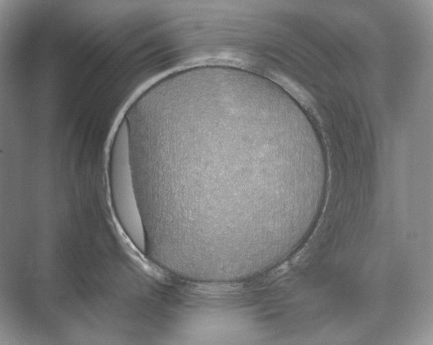 X0000074331200200609230044