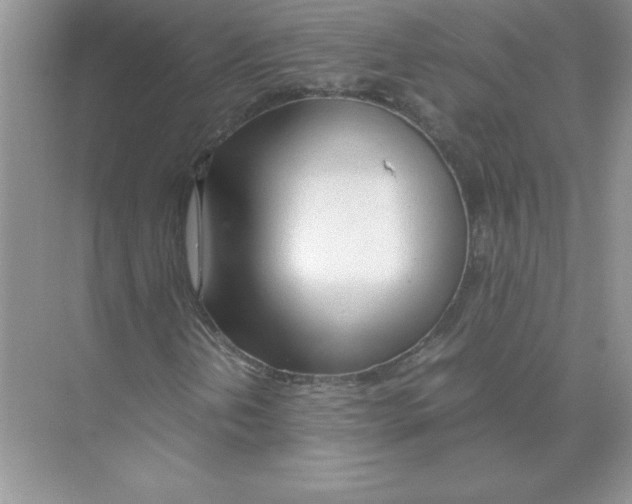 X0000074331202200609230043