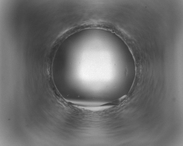 X0000074331206200609230043