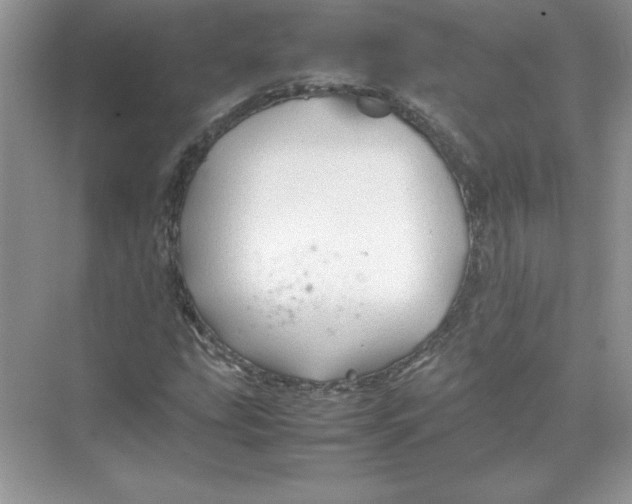 X0000074331207200609230043