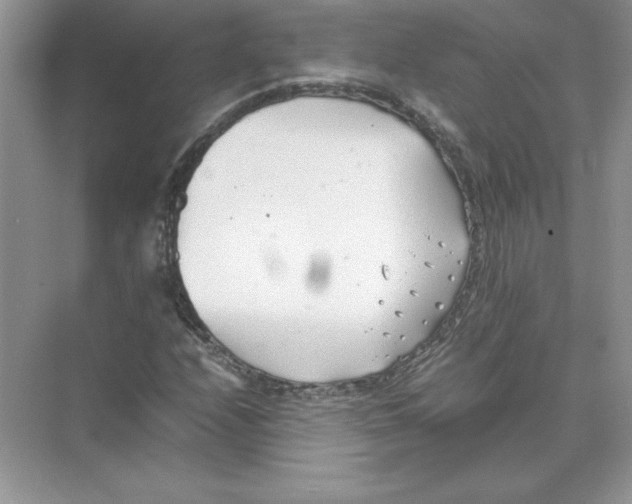 X0000074331208200609230043