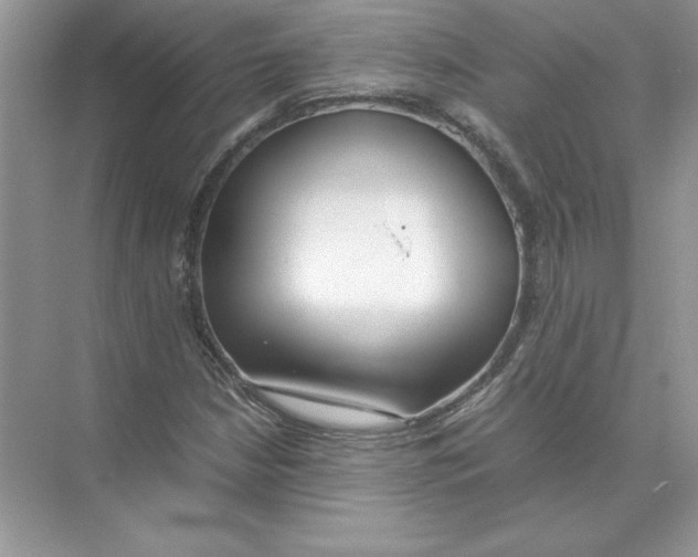 X0000074331210200609230043