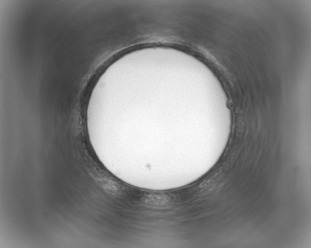 X0000074331215200609230043