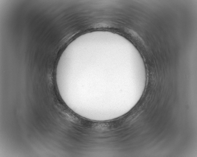 X0000074331217200609230044