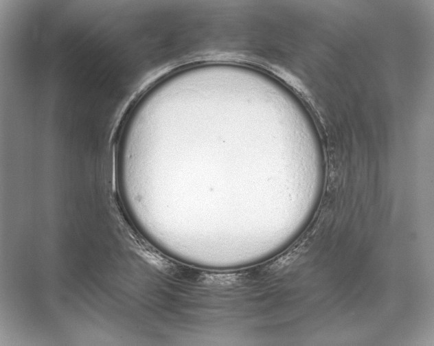 X0000074331223200609230044