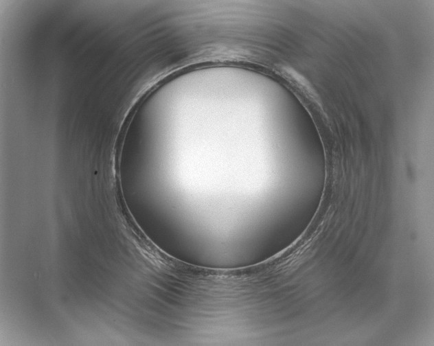 X0000074331226200609230044