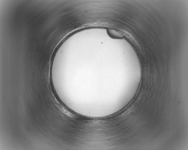 X0000074331228200609230044