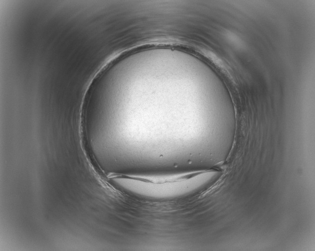 X0000074331229200609230044