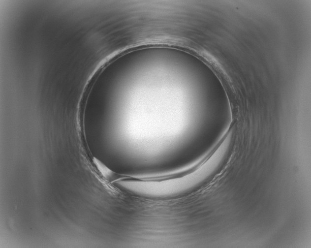 X0000074331230200609230044