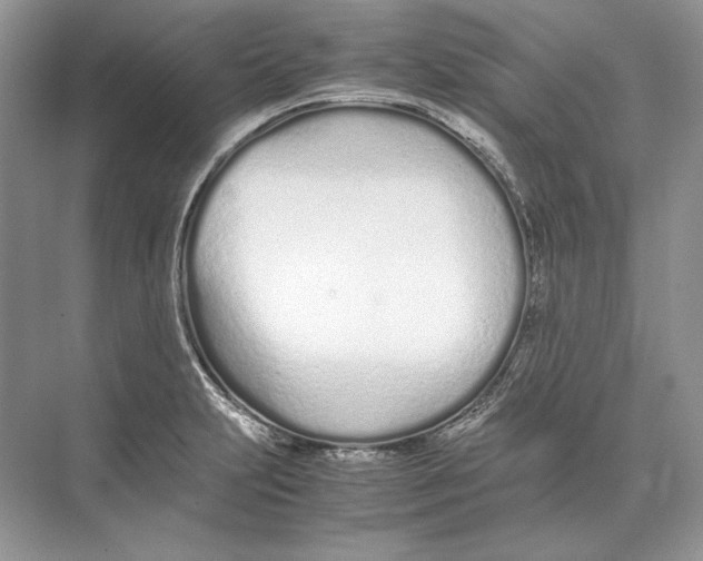 X0000074331231200609230044