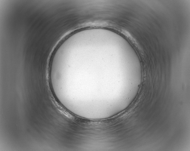 X0000074331232200609230044