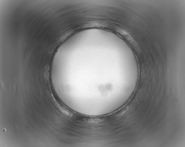 X0000074331233200609230044