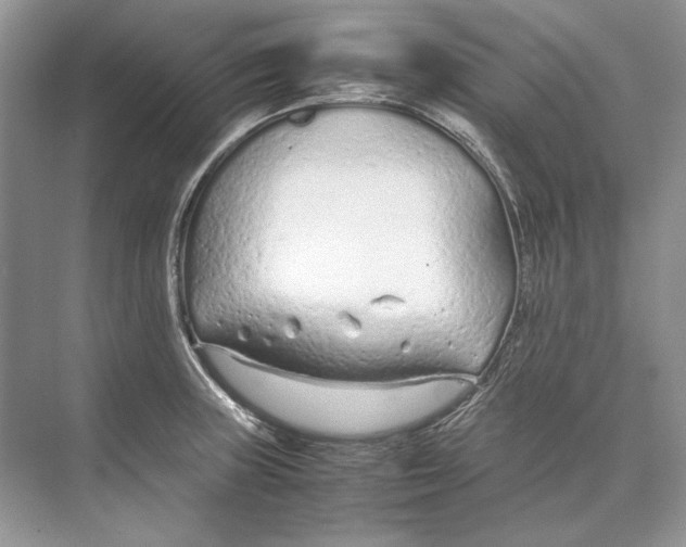 X0000074331235200609230044