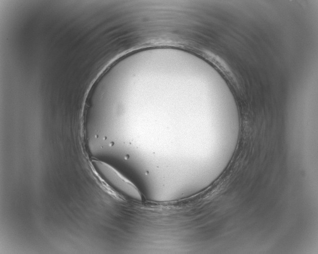 X0000074331236200609230044