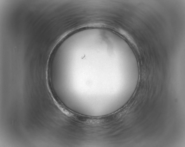 X0000074331237200609230044