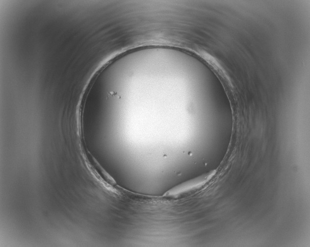 X0000074331238200609230044