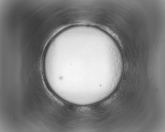 X0000074331239200609230044