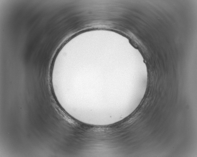 X0000074331240200609230044