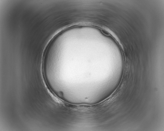 X0000074331245200609230044